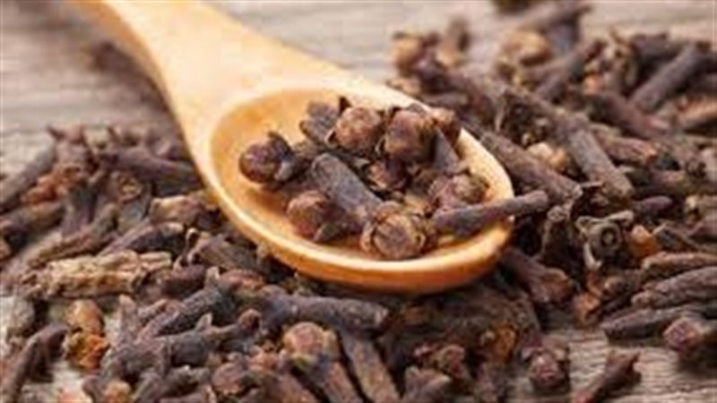 تفسير رؤية القرنفل