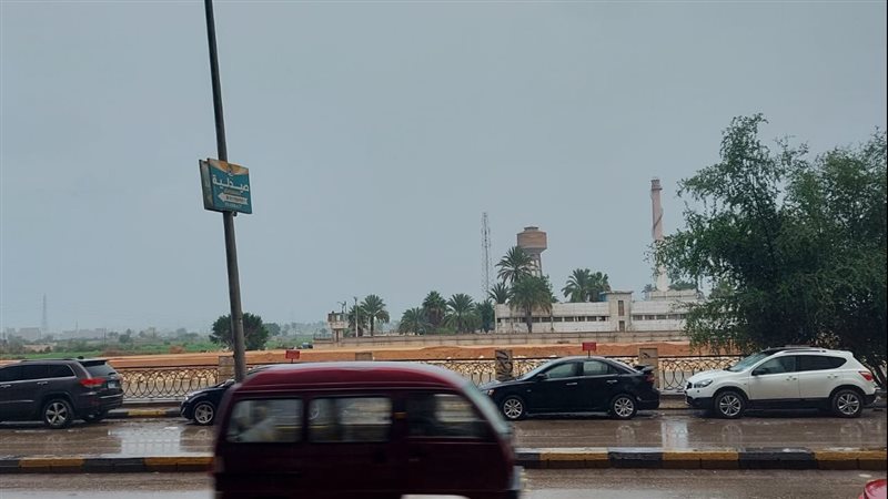 القليوبية 