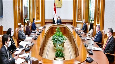 أهداف مبادرة «الرواد الوطنيين».. السيسي يتابع الموقف التنفيذي