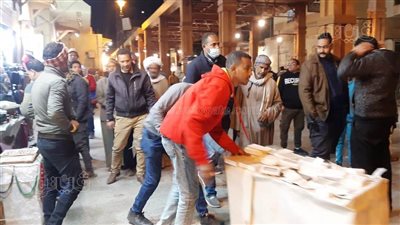 ضبط 217 حالة إشغال ومضبوطات متنوعة أثناء حملة في السوق السياحي بأسوان