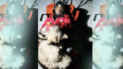 ظل يدفئه بجسمه 13 ساعة.. كلب ينقذ رجلا من الموت بعد سقوطه وسط الثلوج | صور