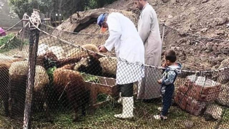 جانب من التطعيمات