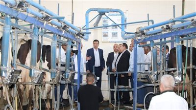 الزراعة: فتح 25 سوقًا جديدًا للصادرات.. اكتفاء ذاتي من البيض والألبان و97% من الدواجن.. الثروة الحيوانية تسجل 8.6 مليون رأس