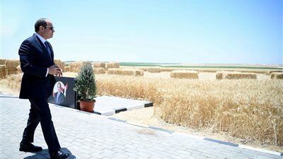 حصاد 2025، السيسي يقود جهود تطوير قطاعات الزراعة والثروة الحيوانية والداجنة والسمكية وتحقيق الأمن الغذائي