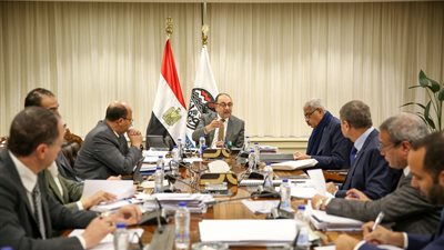 وزير قطاع الأعمال العام يبحث مستجدات التعاون مع مجموعة طلعت مصطفى لتطوير مشروعات فندقية