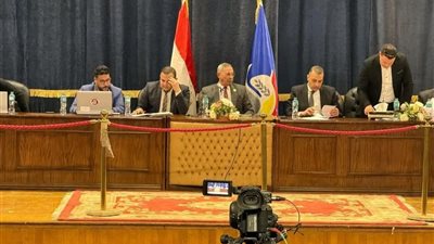 الحصر العددي لدائرة دمنهور الملغاة بانتخابات النواب بالبحيرة 