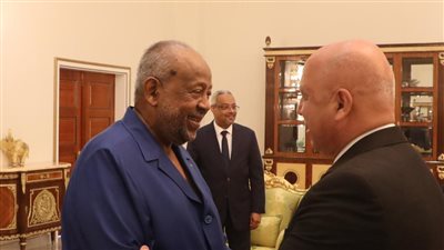 رئيس جيبوتي يستقبل الفريق كامل الوزير (تفاصيل)