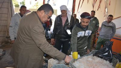 طرح كميات أسماك بأسعار تبدأ من 25 جنيها للكيلو بأسواق الوادي الجديد