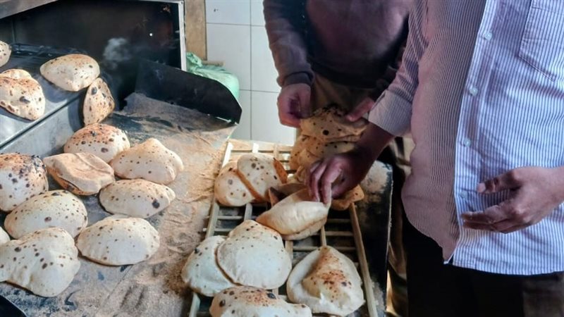 حملة تموينية بالجيزة،