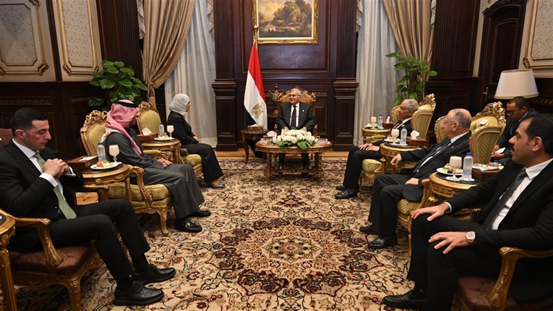 مجلس الشيوخ 