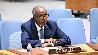 مندوب الصومال يفحم ممثل إسرائيل بمجلس الأمن ويفضح جرائم الاحتلال المستمرة (فيديو)