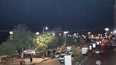 أسوان تتزين لاستقبال رأس السنة والعيد القومي بلمسات جمالية (صور)