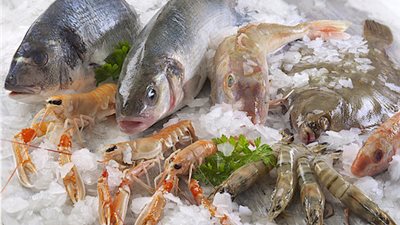 سعر السمك اليوم، ارتفاع البلطي لليوم الثالث والجمبري يصل إلى 1175 جنيها