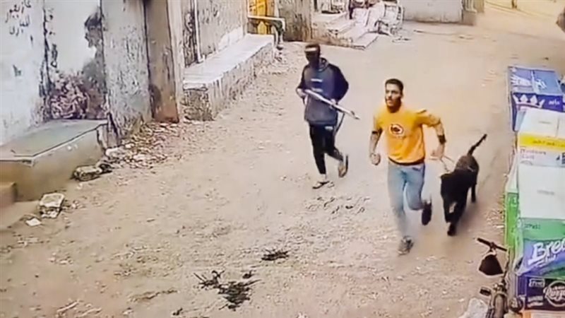 حبس 4 متهمين بترويع
