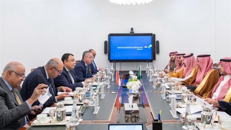 الاجتماع المصري السعودي،