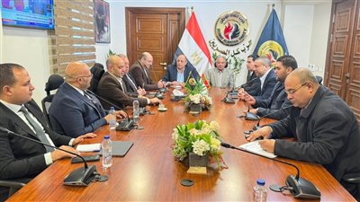 انتخابات النواب، غرفة عمليات حماة الوطن تستأنف متابعة التصويت بجولة الإعادة في الدوائر الملغاة 