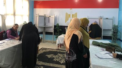 انتخابات النواب، السيدات يتصدرن المشهد في لجنة عزبة الرحمانة بالمنتزه (صور)