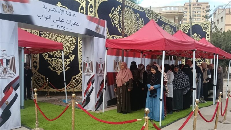 انتخابات الدائرة