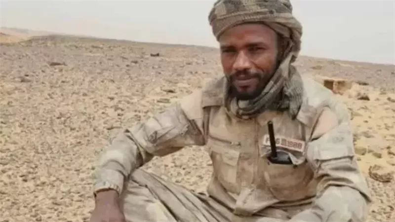 حامد علي أبو بكر