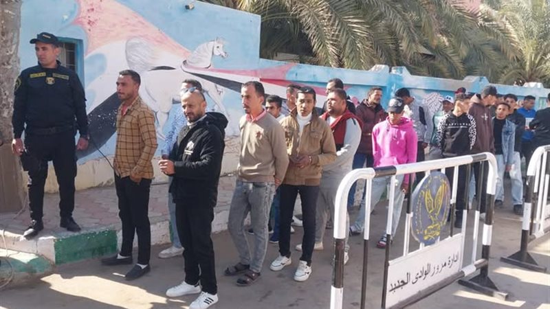 التصويت بالوادى الجديد،فيتو