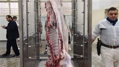 على مساحة 1860م، بدء التشغيل التجريبي لـ مجزر السنبلاوين في الدقهلية 