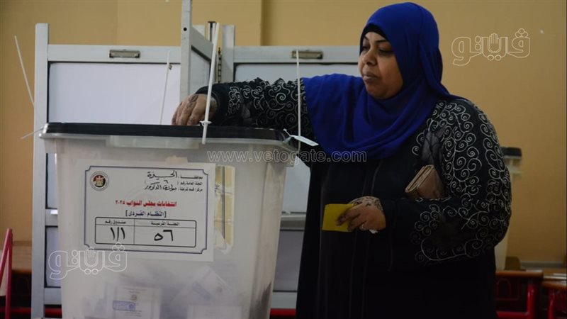 الانتخابات،فيتو 