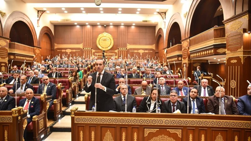وزير الشئون النيابية