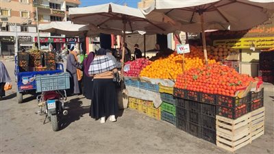 اللحوم بـ300 جنيه.. منافذ لبيع خضراوات وفاكهة بأسعار مخفضة في الوادي الجديد