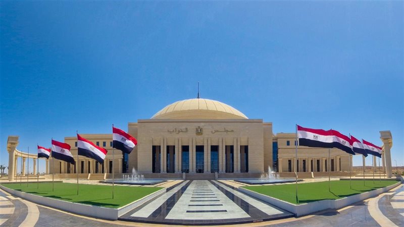 مجلس النواب، فيتو