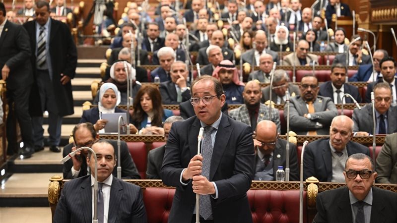 وزير المالية أمام