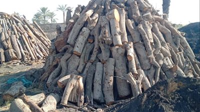 حفاظا على الصحة العامة، البيئة تتصدى لأصحاب مكامير الفحم المخالفة بالإسماعيلية 