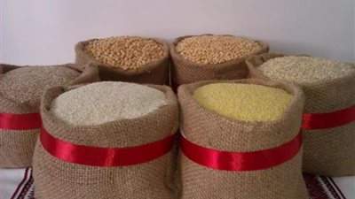 ارتفاع الذرة، أسعار الأعلاف والحبوب اليوم في الأسواق