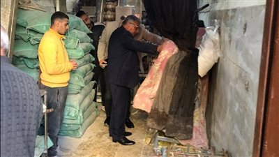 محافظ الدقهلية يتفقد مخابز المنصورة للتأكد من جودة الخبز ووصول الدعم لمستحقيه