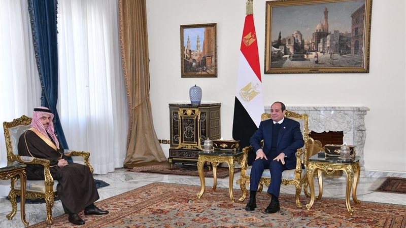 الرئيس السيسي ووزير