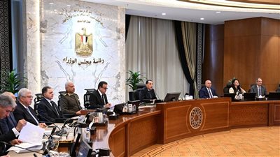 خطأ واحد في وزير يعرقل النهضة سنوات، أستاذ بهارفارد يكشف ملامح التغيير الوزاري الجديد لمصر 