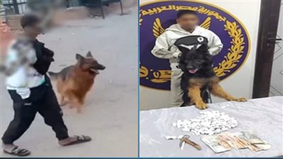 القبض على ديلر مخدرات استخدم كلبا لترهيب شخص بالقليوبية