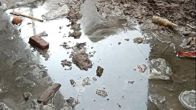 شارع باريس بقليوب،فيتو