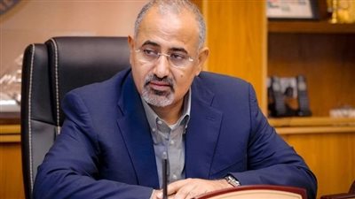 هروب عيدروس الزبيدي، الصومال تجري تحقيقات حول استخدام أراضيها فى عملية فرار الفجر