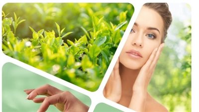 اصنعي بنفسك سيروم الشاي الأخضر لتقليل تساقط الشعر وزيادة نموه