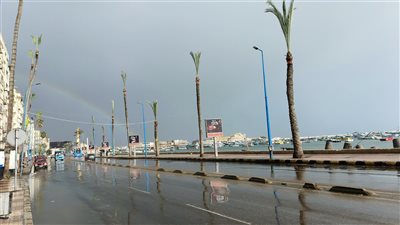 استمرار سقوط أمطار غزيرة على الإسكندرية (صور)