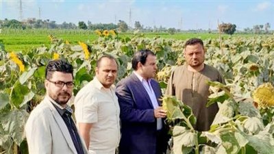 محافظ الفيوم يتلقى تقريرًا حول جهود مديرية الزراعة في دعم المزارعين