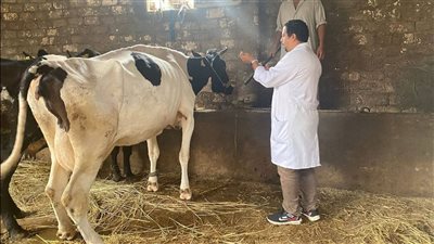 انطلاق الحملة القومية للتحصين ضد الحمى القلاعية والوادي المتصدع بدمياط 