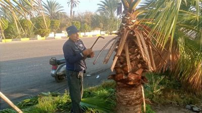 خطة تجميل قبل الموسم، تطوير مداخل رأس البر بدمياط 