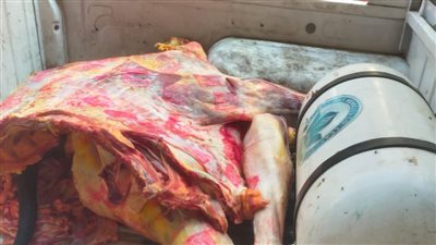 بالأرقام، ضبط لحوم وأسماك فاسدة في حملة تموين مكبرة بالجيزة (صور)