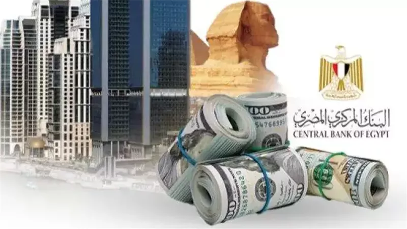  التضخم في مصر، فيتو