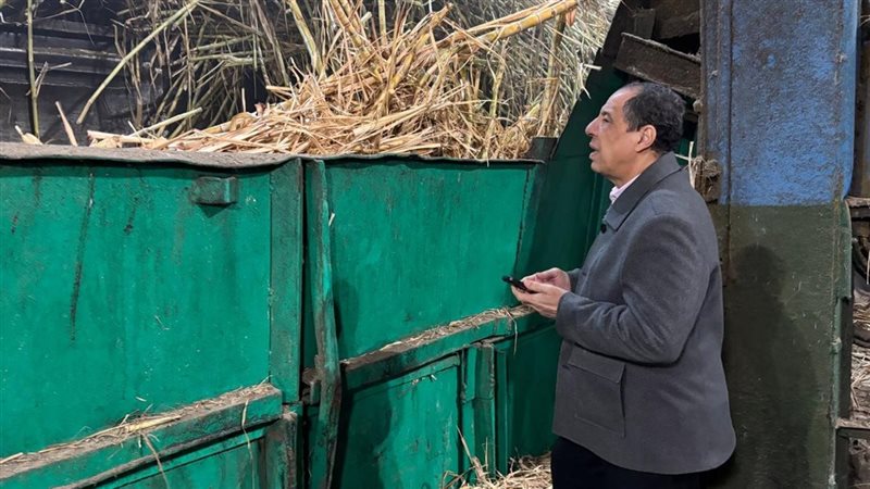 موسم توريد قصب السكر