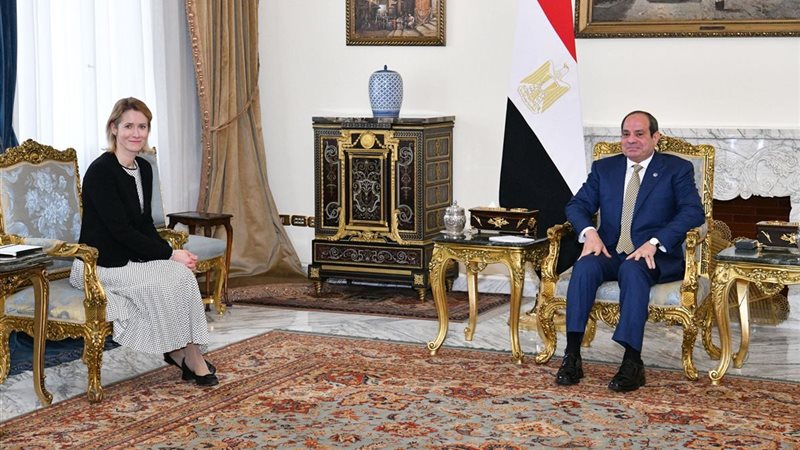 الرئيس السيسي والممثلة