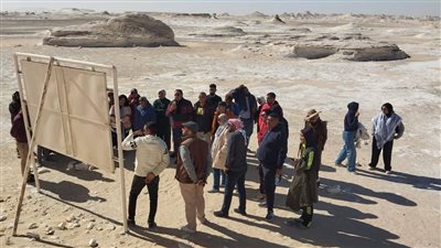 الوادي الجديد تستقبل أول أفواج برنامج 