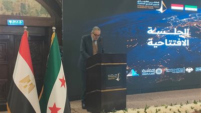 اتحاد الغرف: 15 ألف سوري يعملون في مصر باستثمارات تقارب المليار دولار