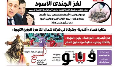 العدد (696) من «فيتو» وأبرز عناوينه: لغز الجندى الأسود.. «فيتو» تكشف سر تسلل الذبابة القادمة من شرق آسيا وأمريكا اللاتينية إلى مصر